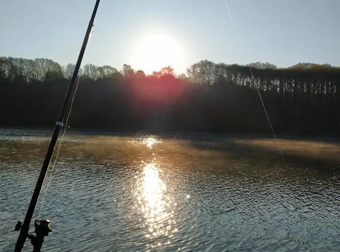 Daire Knezevi Konaci