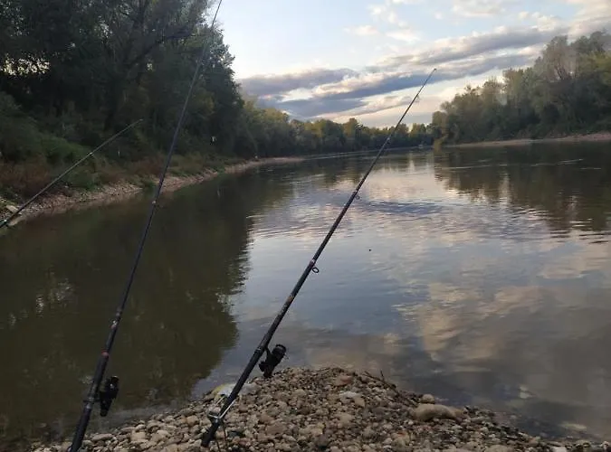 Daire Knezevi Konaci *